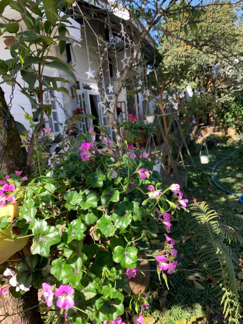 De Daisy Villa Homestay Dalat Exterior foto