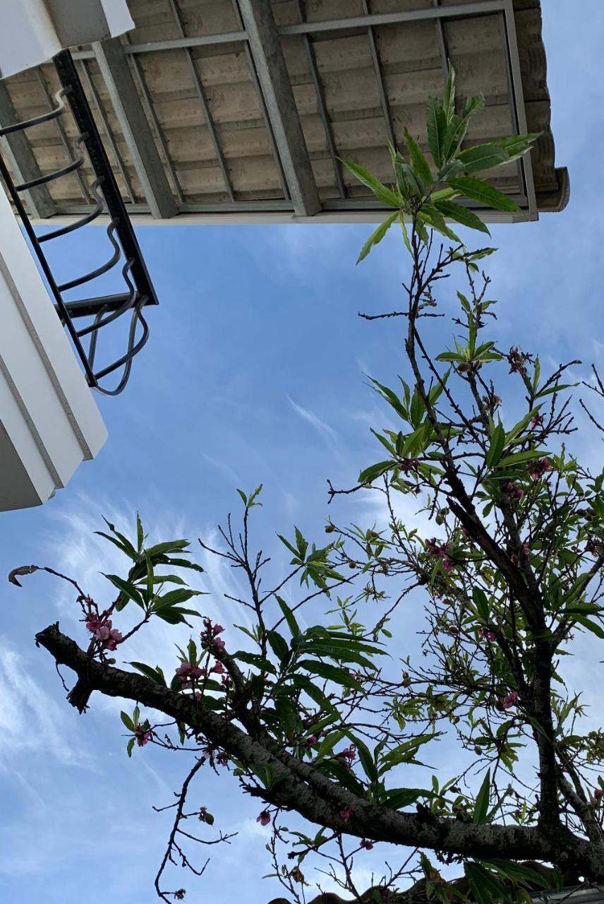 De Daisy Villa Homestay Dalat Exterior foto