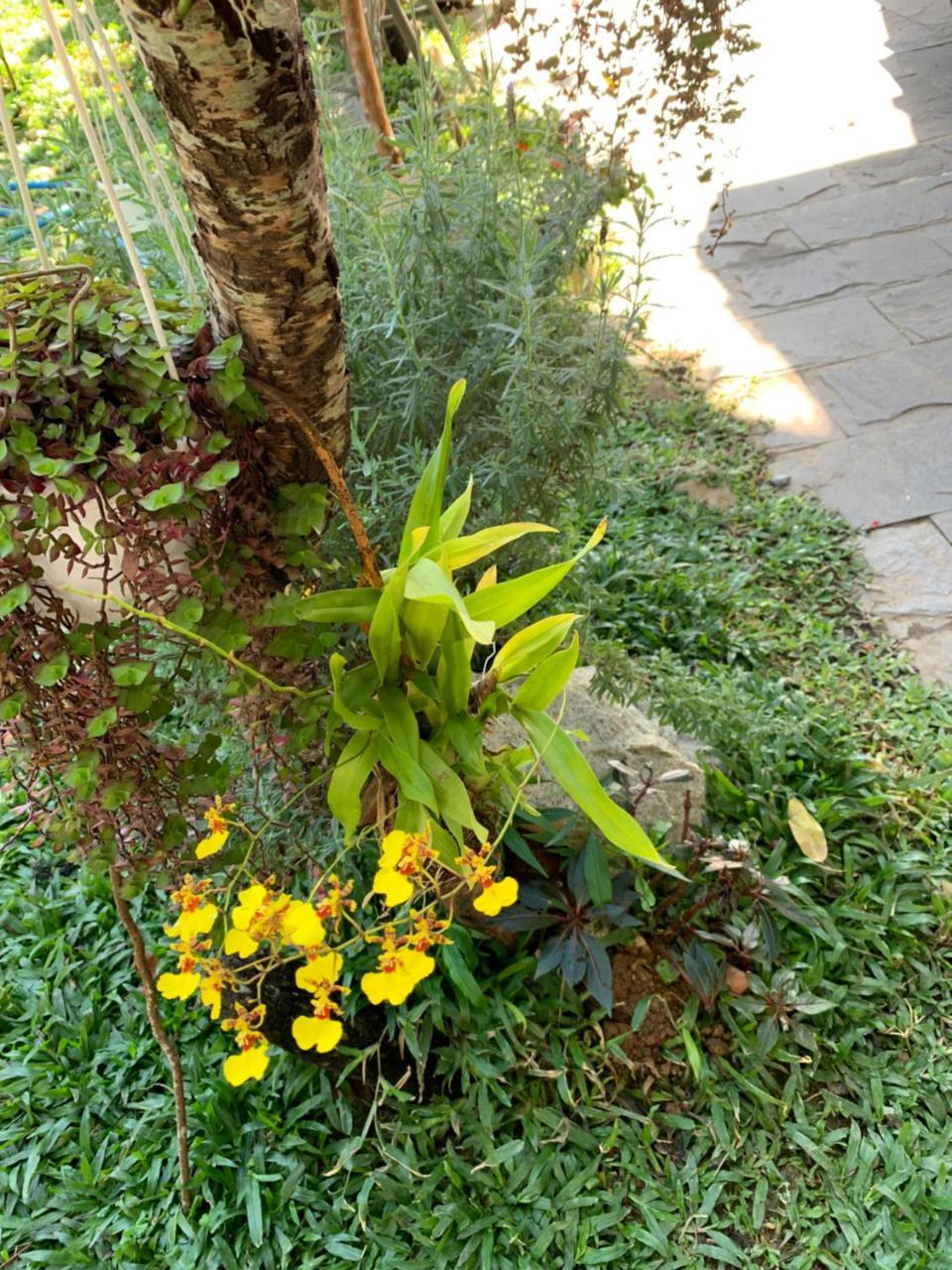 De Daisy Villa Homestay Dalat Exterior foto